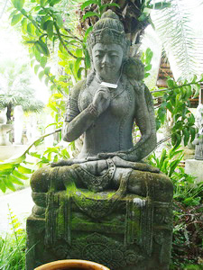 ෾觹