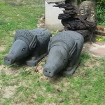 ���� DL020077