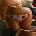  DL010036