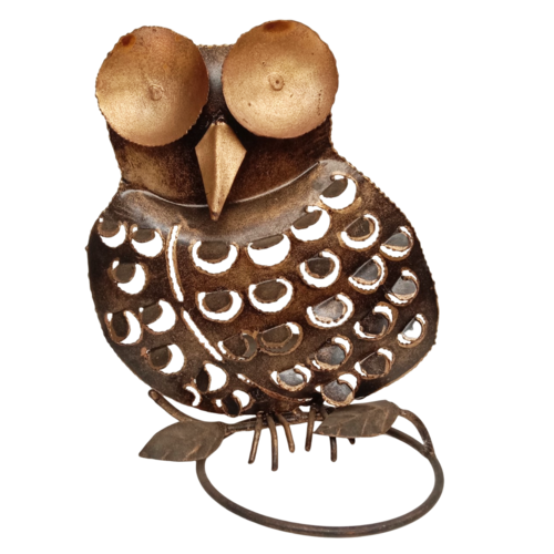 นกฮูกเหล็กทำสี